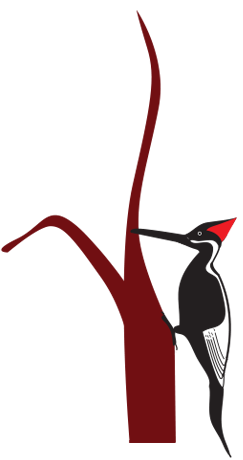  showroom works in  trivandrum, interior designer in poojappura,  interior works in  karamana,  interior works in vazhuthacaudu,  interior works in vellayambalam